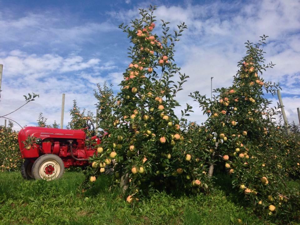 فيلا Agritur Al Maso كوريدو المظهر الخارجي الصورة